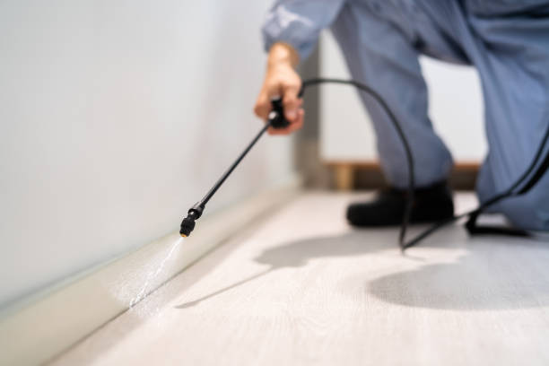 Licensed Pest Control service in Laconia, NH - Show Me Pest Control